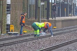 Vos zwaargewond na aanrijding met trein in Bussum