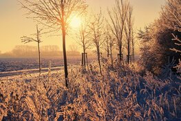 Koude nachten, overdag veel zon