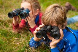Vogelsafari met de boswachter in ’s-Graveland