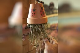 Bouw je eigen insectenhotel in 's-Graveland