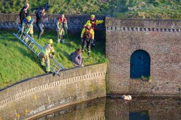 Hond valt in vestinggracht Naarden, brandweer in actie