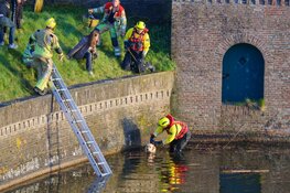 Hond valt in vestinggracht Naarden, brandweer in actie