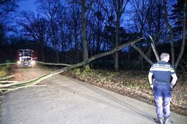 Brandweer moet afgeknapte boom verwijderen in Huizen
