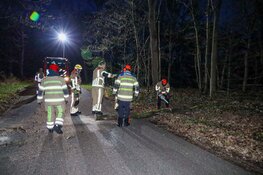 Brandweer moet afgeknapte boom verwijderen in Huizen