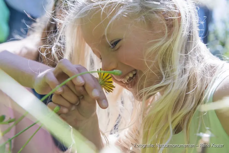 Eten uit de natuur in ’s-Graveland