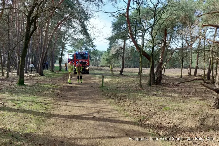 Kleine natuurbrand in Bussum, vermoedelijk aangestoken
