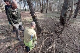 Kleine natuurbrand in Bussum, vermoedelijk aangestoken