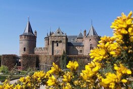 Meivakantie, bevrijdingsdag en vliegerfestijn bij het Muiderslot