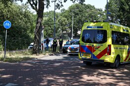 Auto komt tot stilstand tegen boom in Huizen