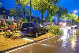 Auto tegen boom in Huizen, brandweer komt ter plaatse vanwege lekkende LPG-tank