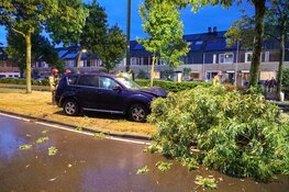Auto tegen boom in Huizen, brandweer komt ter plaatse vanwege lekkende LPG-tank