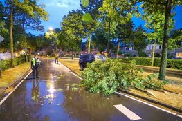 Auto tegen boom in Huizen, brandweer komt ter plaatse vanwege lekkende LPG-tank