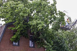 Boom omgewaaid tegen woning in Huizen