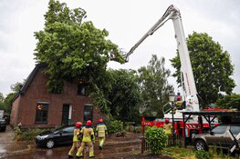 Boom omgewaaid tegen woning in Huizen