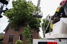 Boom omgewaaid tegen woning in Huizen