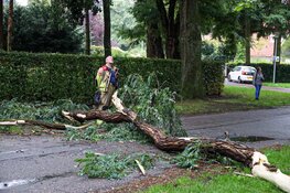 Brandweer Laren rukt uit voor grote tak op de weg