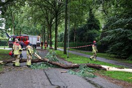 Brandweer Laren rukt uit voor grote tak op de weg
