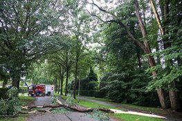 Brandweer Laren rukt uit voor grote tak op de weg