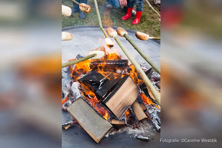 OERRR Struinen en broodje bakken met de boswachter