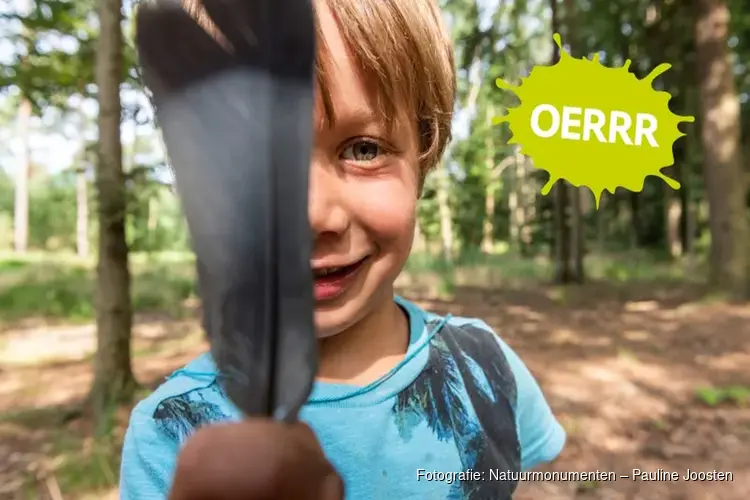 OERRR Struinen met de boswachter en maak een bosmobiel