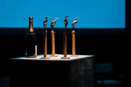 Gouden Reigers 2024: Prijsuitreiking beste opdrachtfilm verhuist naar Beeld & Geluid in Hilversum