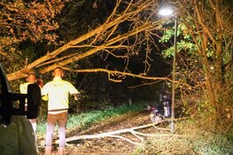 Scooterrijdster tegen omgewaaide boom gereden