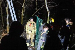 Vermiste serval aangetroffen in boom in Huizen