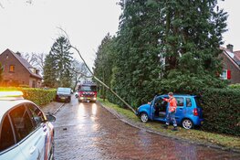 Auto tegen boom gereden in Blaricum