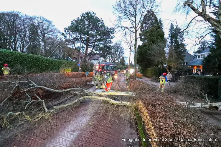 Boom waait om in Laren, verkeer gestremd