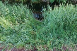 Man met rollator valt in sloot