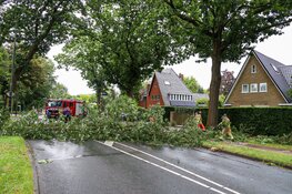 Boom omgewaaid in Huizen