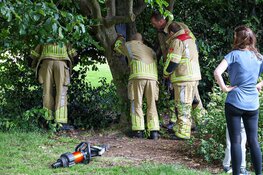 Jongen zit vast in boom in Huizen