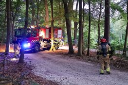 Schuur met twee voertuigen uitgebrand in Naarden