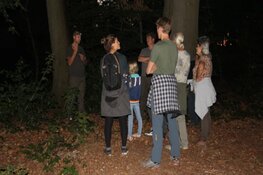 Nacht van de Vleermuis in 's-Graveland