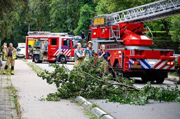 Brandweer in actie na stormschade in Naarden