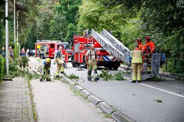 Brandweer in actie na stormschade in Naarden