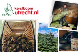 Kerstboom Kopen in ’t Gooi? Kies voor het Gemak van Kerstboom Utrecht