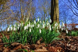 Nat weekend wordt opgevolgd door droge en frisse dagen