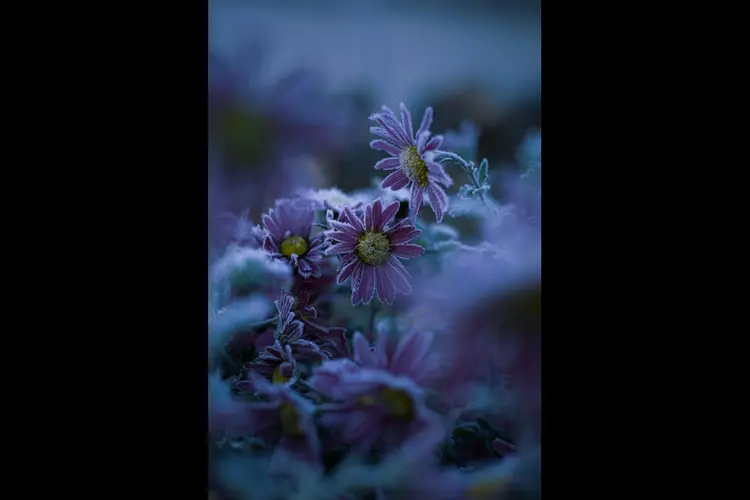 Zo geniet je van een heerlijke wintertuin in 't Gooi