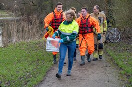 Meeuw door brandweer losgemaakt van visdraad in Huizen