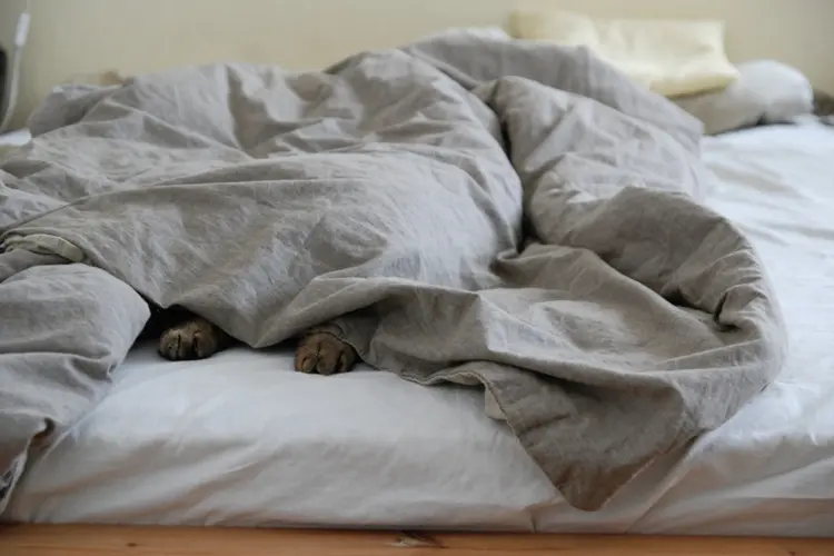 Boxspring mythen ontkracht: Wat is wél en niet waar over dit populaire bed