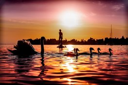 Welke spieren train je met suppen? Dit is waarom SUP een full-body workout is