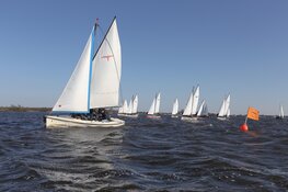 SailWise Bedrijvenregatta 2025: Samen zeilen voor het goede doel