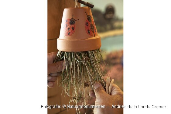 OERRR Bouw je eigen insectenhotel in 's-Graveland