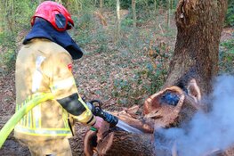 Brandje in bosrijk gebied Blaricum