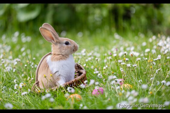 OERRR Paasspeurtocht in 's-Graveland
