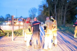 Rook gezien boven bos bij Laren