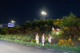Auto raakt van de weg en eindigt in struiken op A27