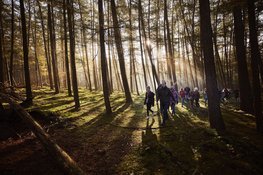 OERRR Dauwtrappen met het hele gezin in ’s-Graveland
