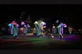 Gegarandeerd betere smartphone foto’s!